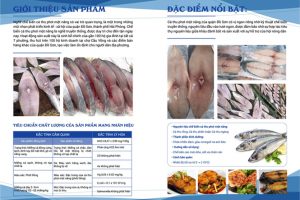 Bài viết demo số 6